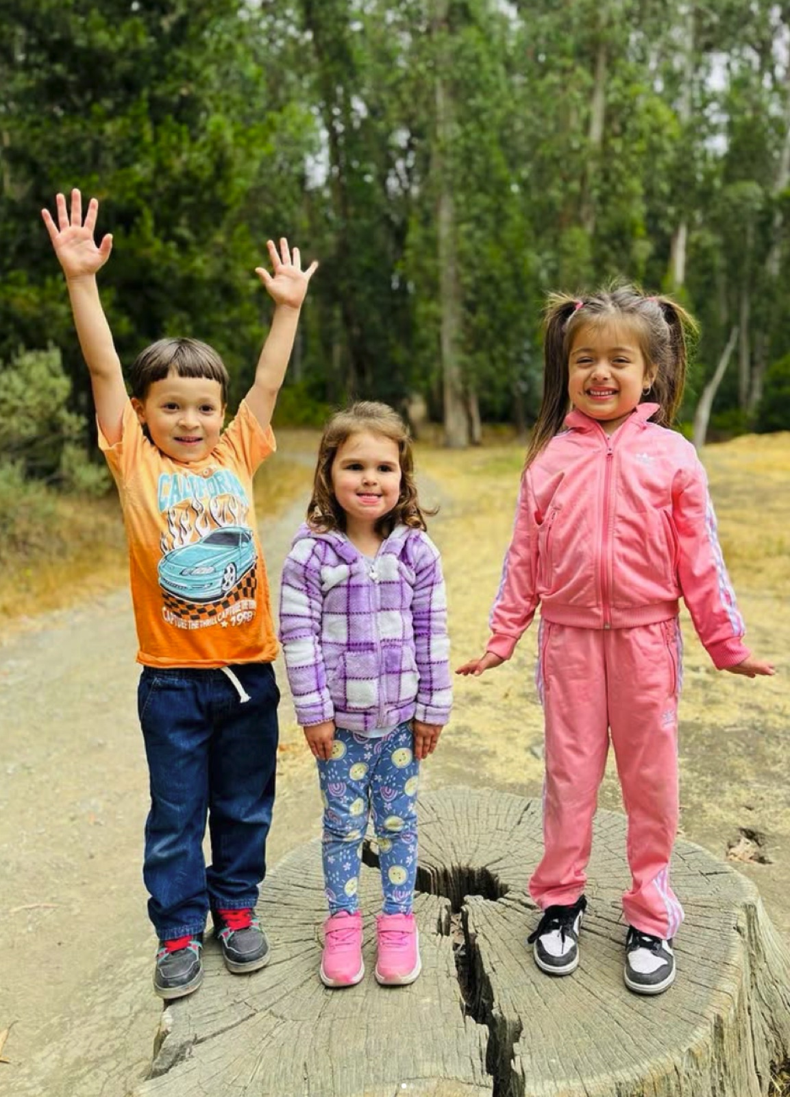 Three children beaming on a tree stump during a field trip to Tilden Regional Park