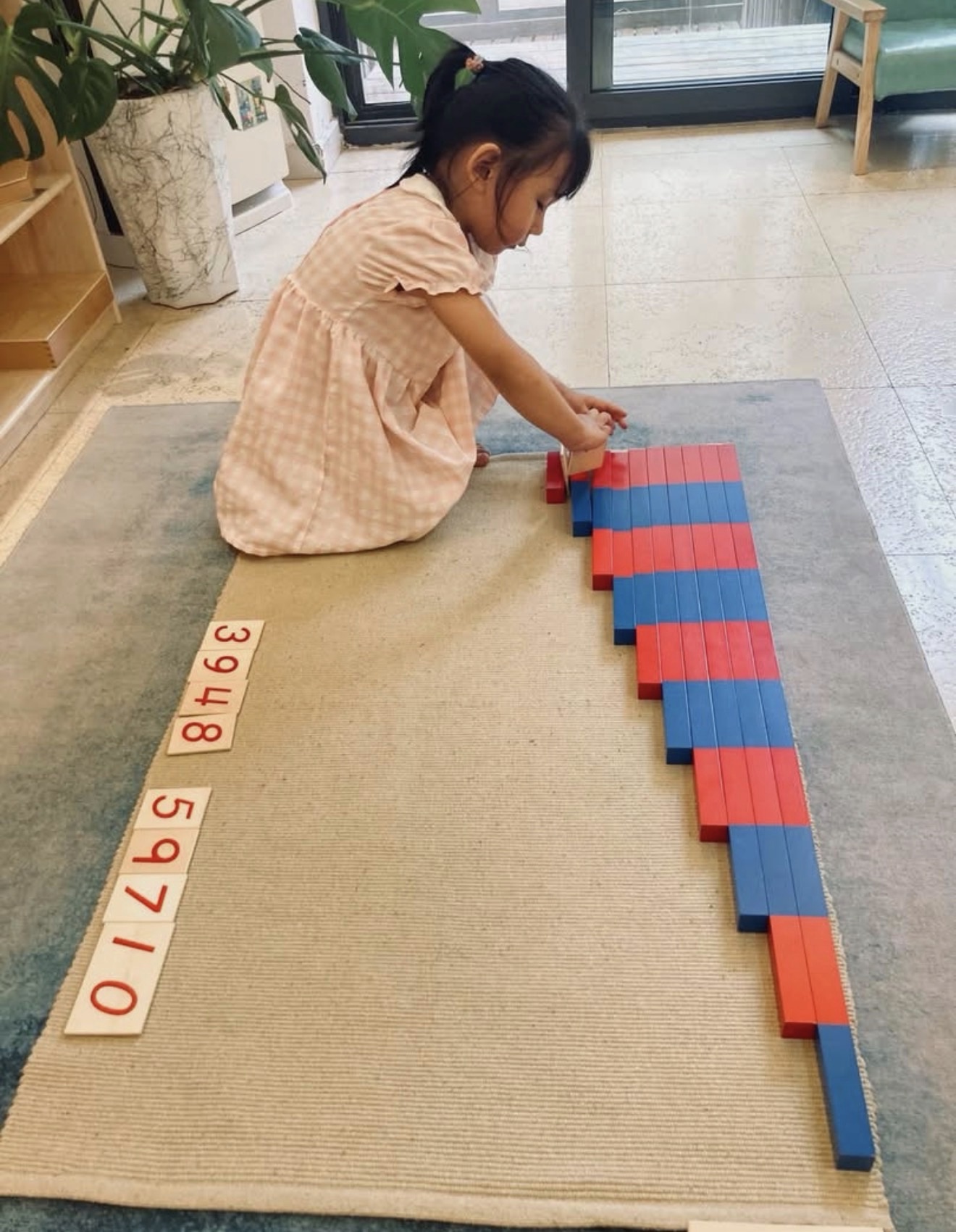 A young girl deep in concentration, arranging the red and blue number rods in a stair across her work mat, with numeral cards laid out beside her