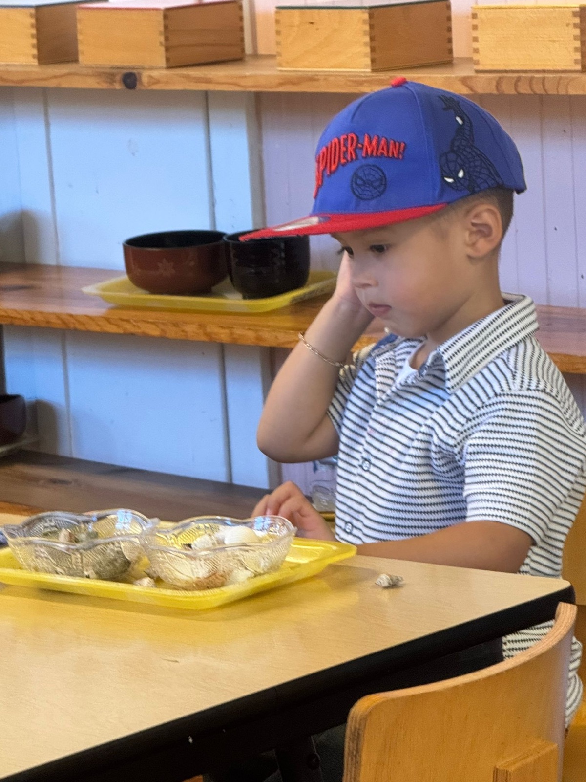 A boy in a Spider-Man cap studies a tray of seashells at a child-sized table